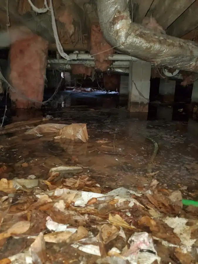 Crawl space flood assessment for Leak Detection & Repair in Escondido